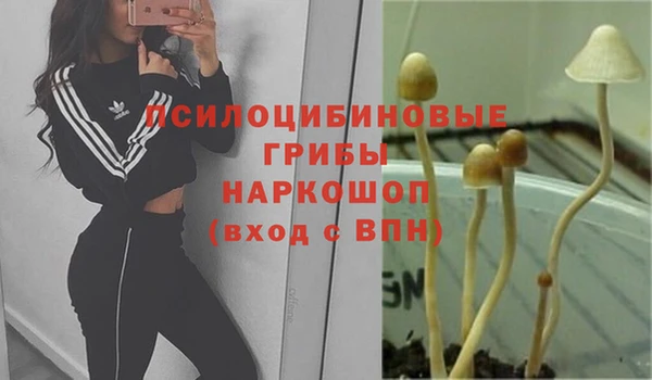 spice Краснотурьинск