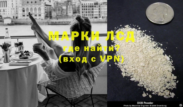 spice Аркадак