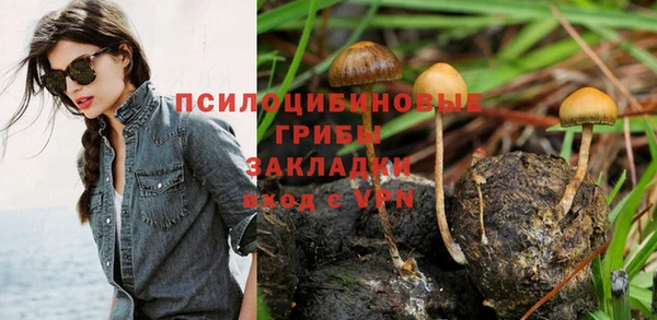 ECSTASY Кукмор
