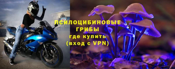 spice Аркадак